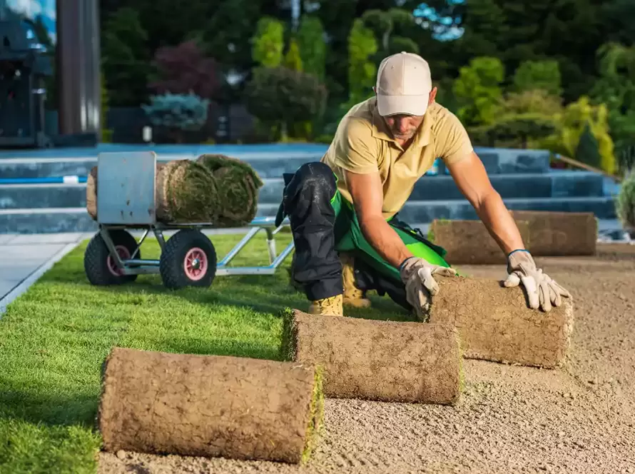 Trabajos de jardinería en Alicante, Alicante
